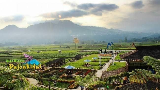 Desa Wisata Pujon: Potret Harmoni Alam, Budaya, dan Cerita Warga di Lereng Pegunungan