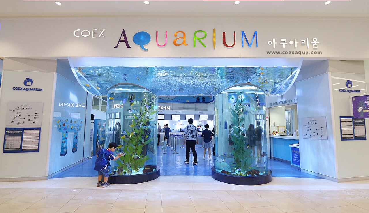 COEX Aquarium: Eksplorasi Dunia Laut Modern di Jantung Seoul COEX Aquarium: Eksplorasi Dunia Laut Modern di Jantung Seoul