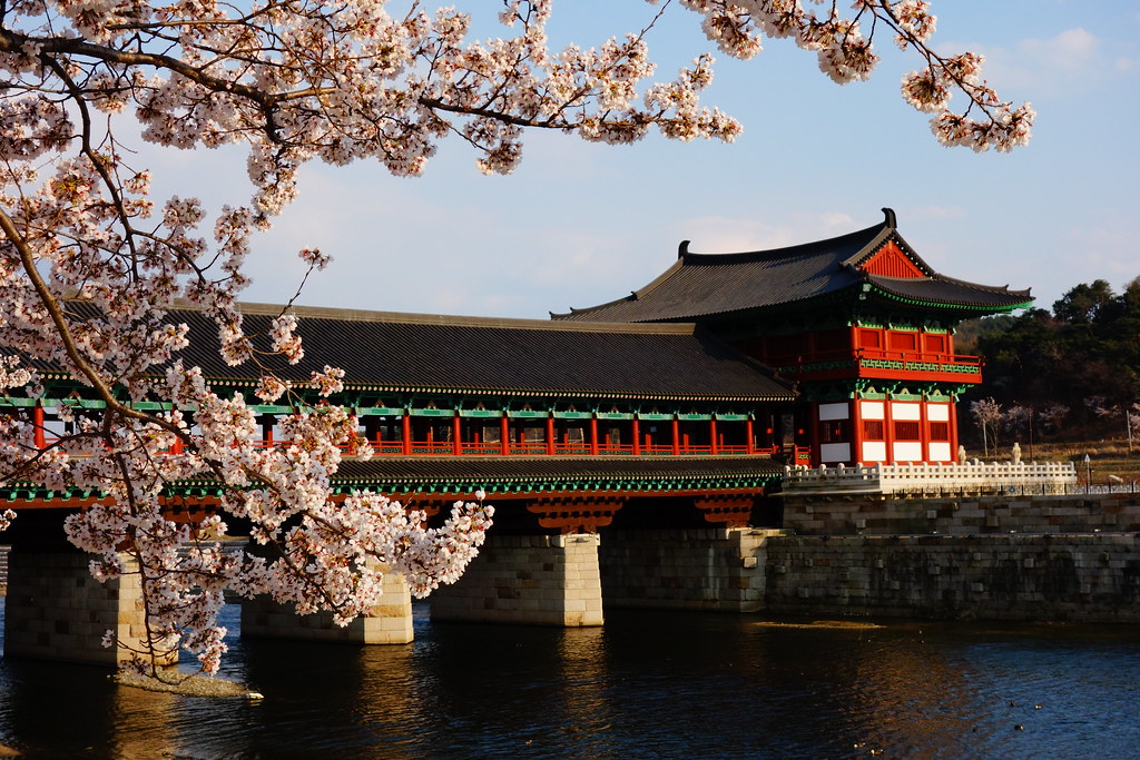Woljeonggyo Bridge: Jejak Arsitektur Kuno di Jantung Gyeongju Woljeonggyo Bridge: Jejak Arsitektur Kuno di Jantung Gyeongju