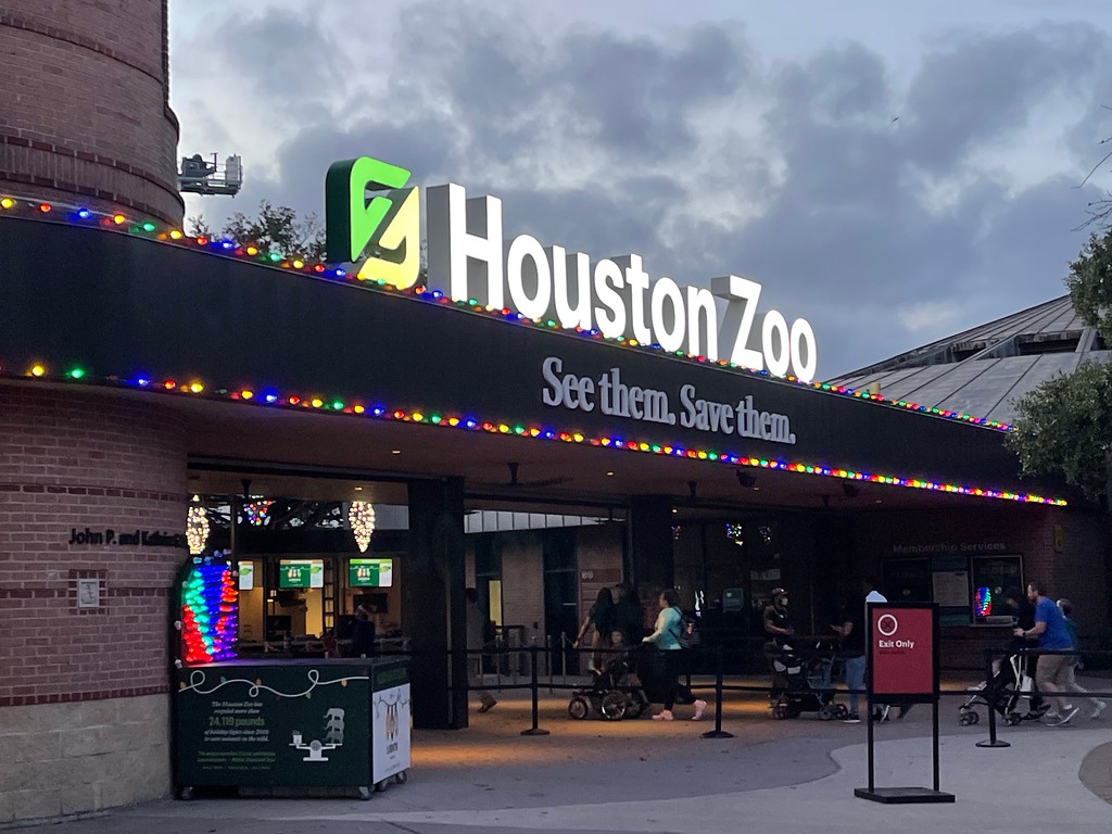 Houston Zoo: Destinasi Edukatif dan Rekreasi Kelas Dunia