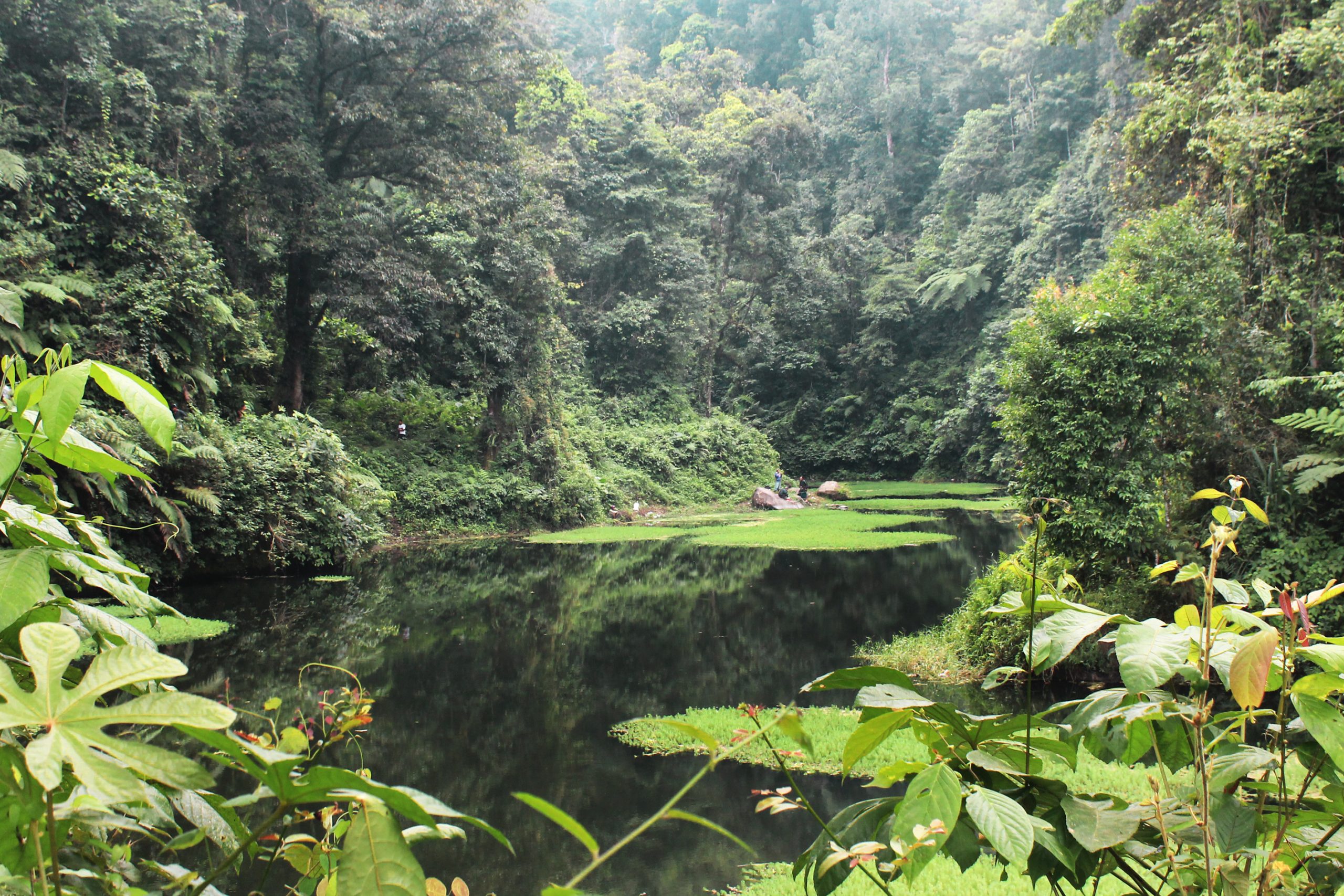 Ranu Darungan Surga Tersembunyi di Kaki Gunung Semeru