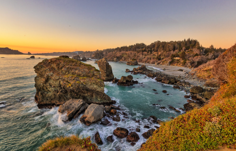Redwood Coast Parks