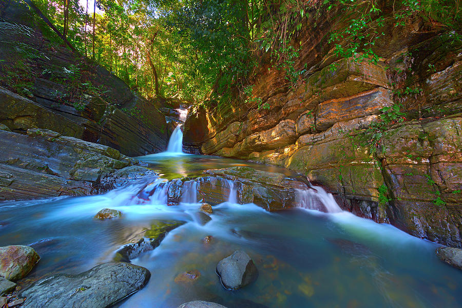 El Yunque National Forest: Keajaiban Hutan Hujan di Karibia