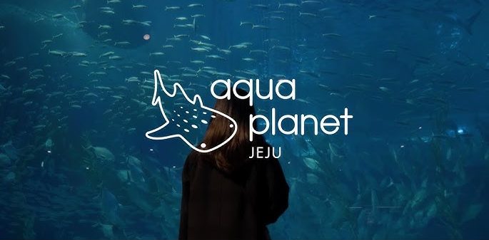 Aqua Planet Jeju: Destinasi Wisata Bahari di Pulau Vulkanik Korea Aqua Planet Jeju: Destinasi Wisata Bahari di Pulau Vulkanik Korea