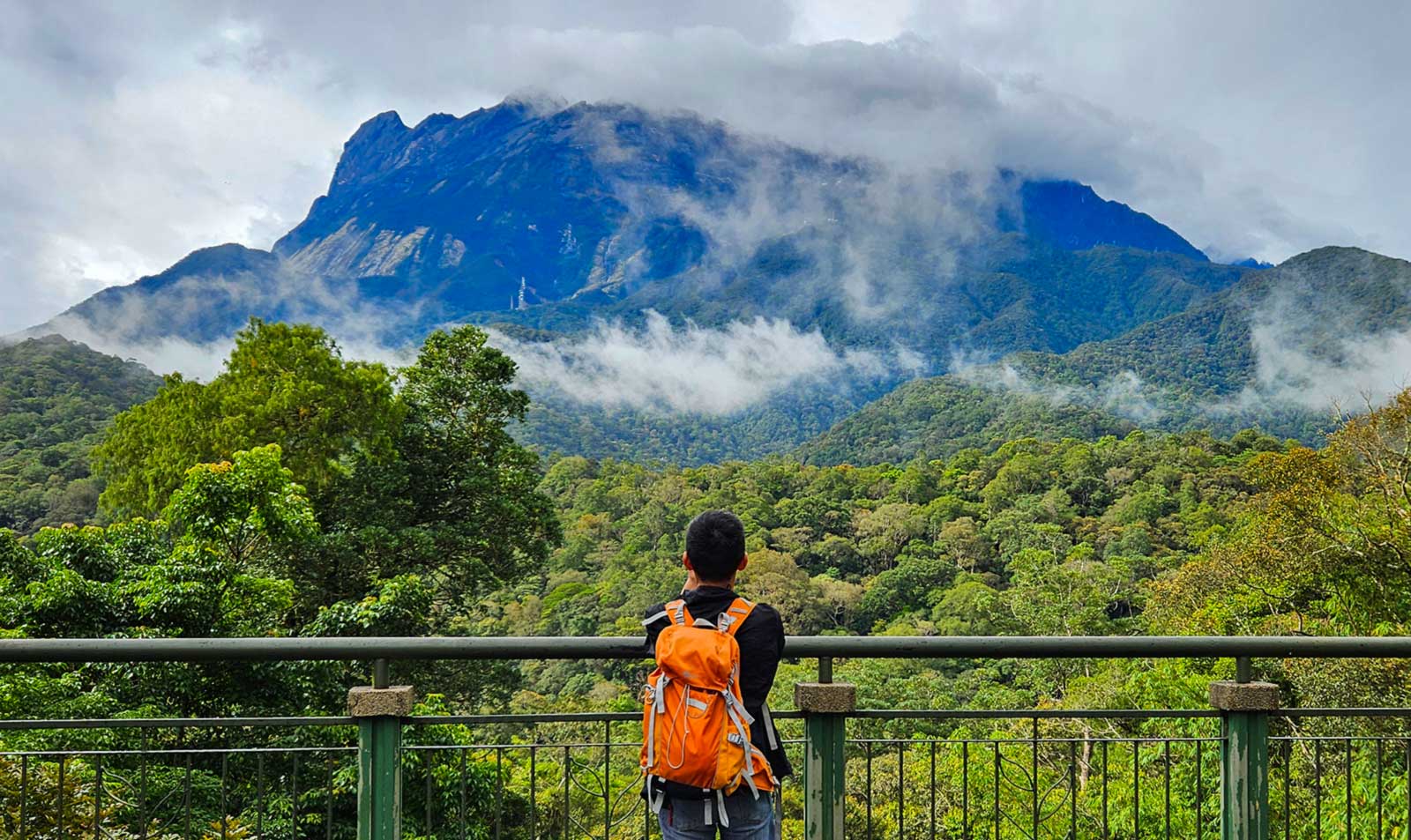 Taman Nasional Kinabalu Panduan Wisata Alam di Sabah