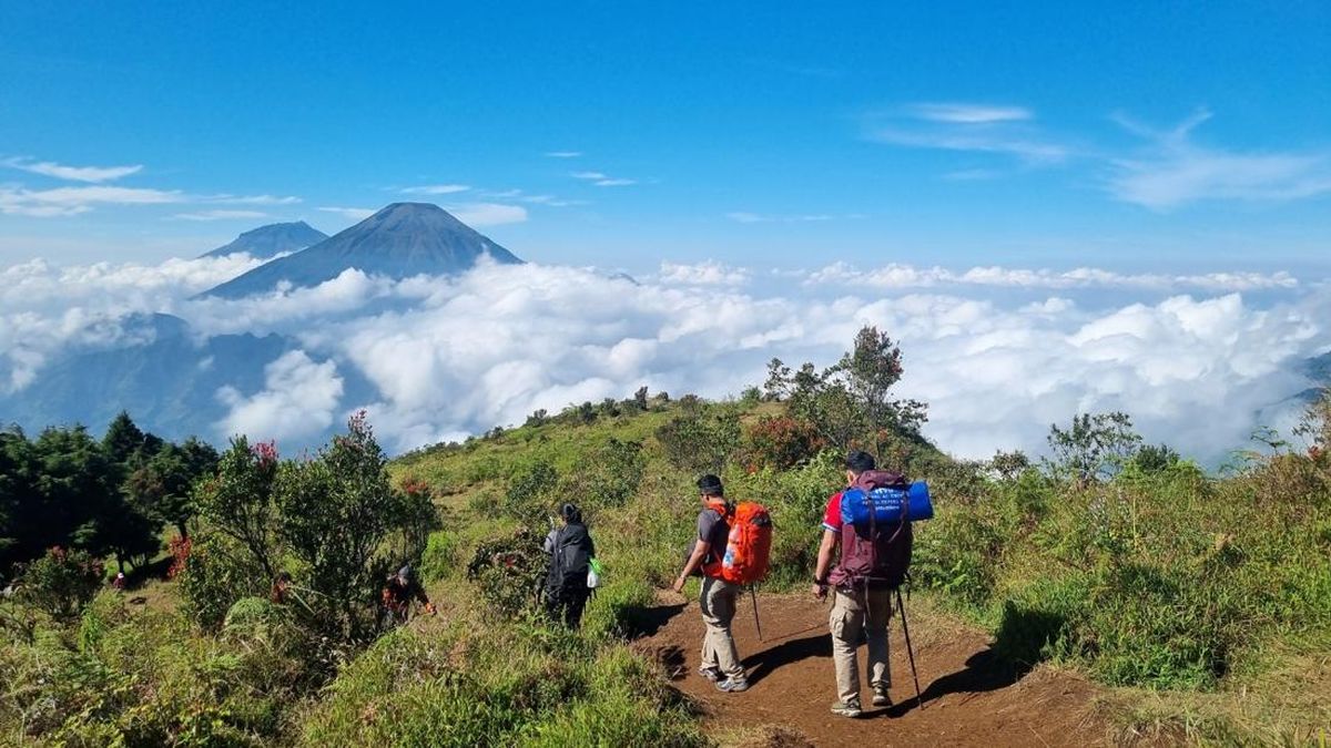 Gunung Prau Destinasi Pendakian Terbaik di Jawa Tengah