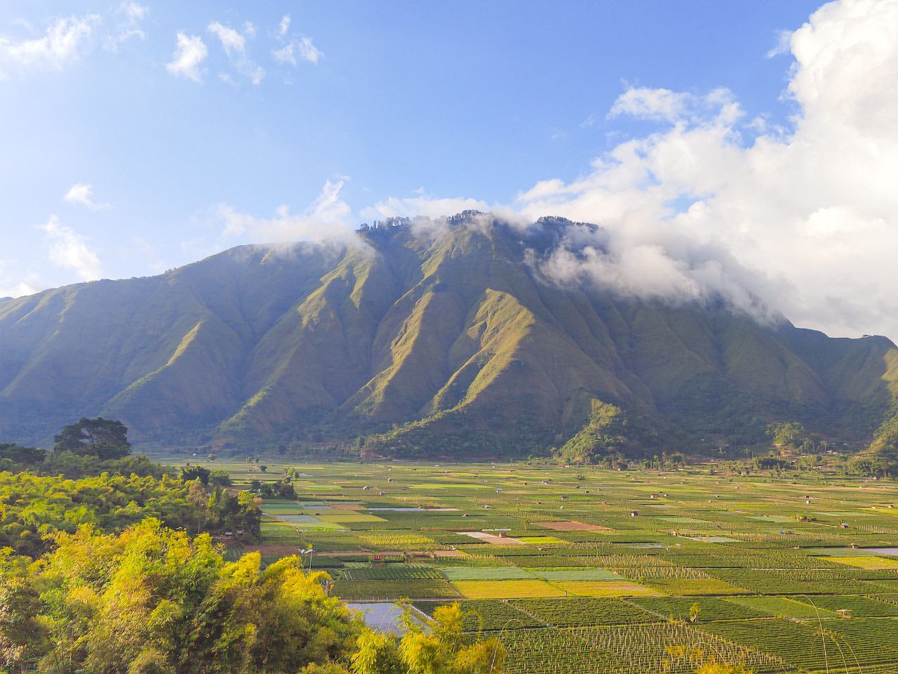 Bukit Selong: Surga Tersembunyi untuk Pecinta Alam
