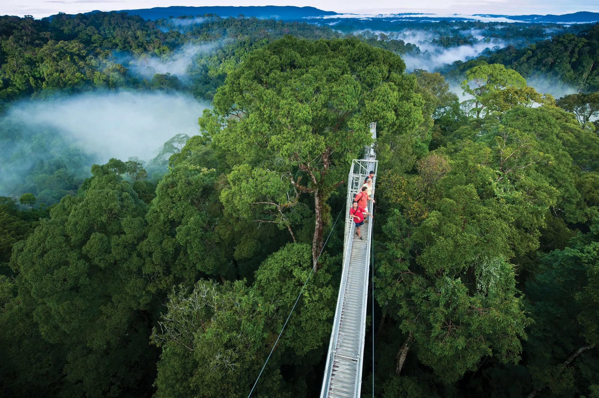 Ulu Temburong National Park