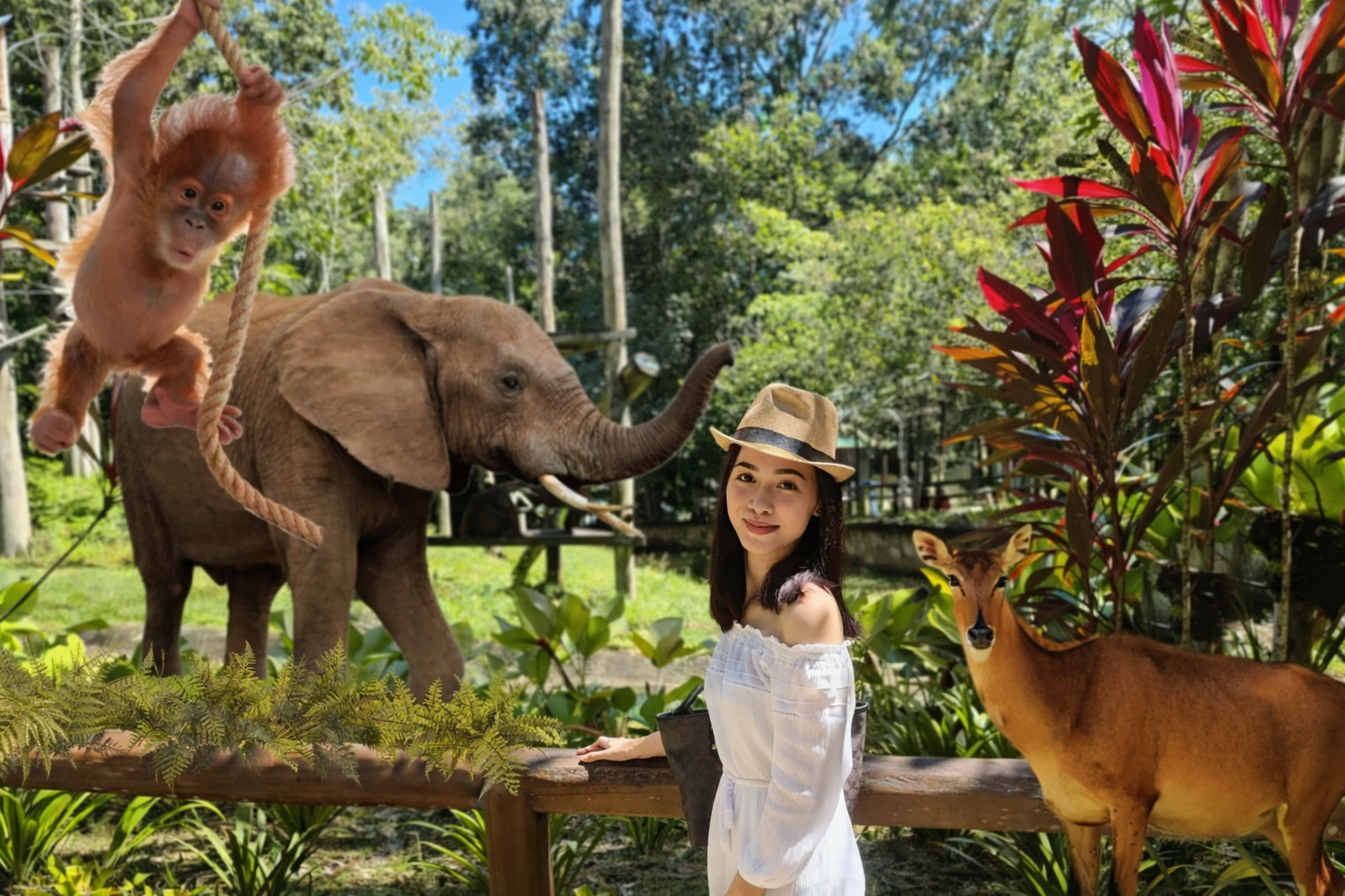 Lok Kawi Wildlife Park: Wisata Satwa Liar di Sabah Lok Kawi Wildlife Park: Wisata Satwa Liar di Sabah