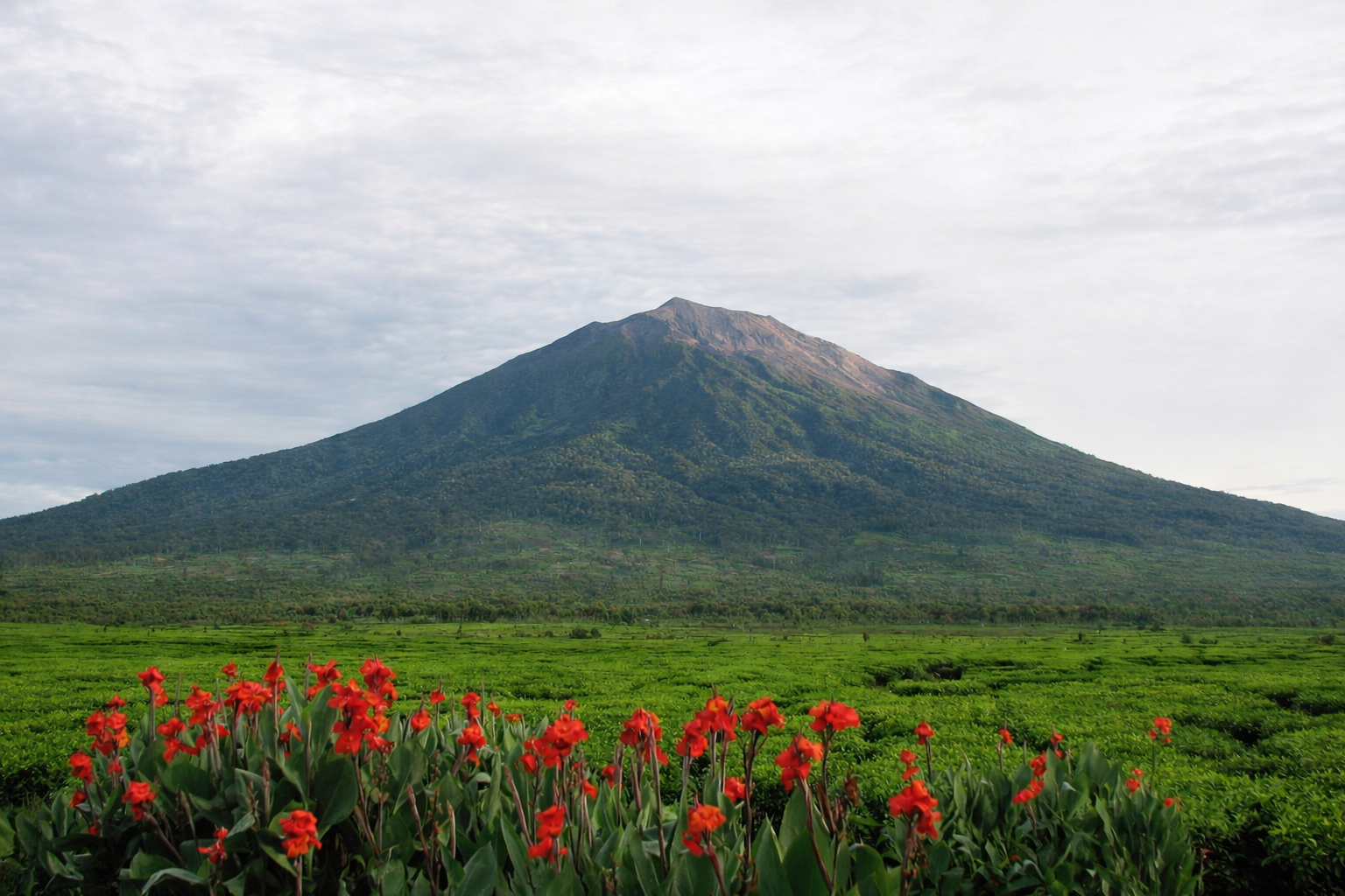 Gunung Kerinci