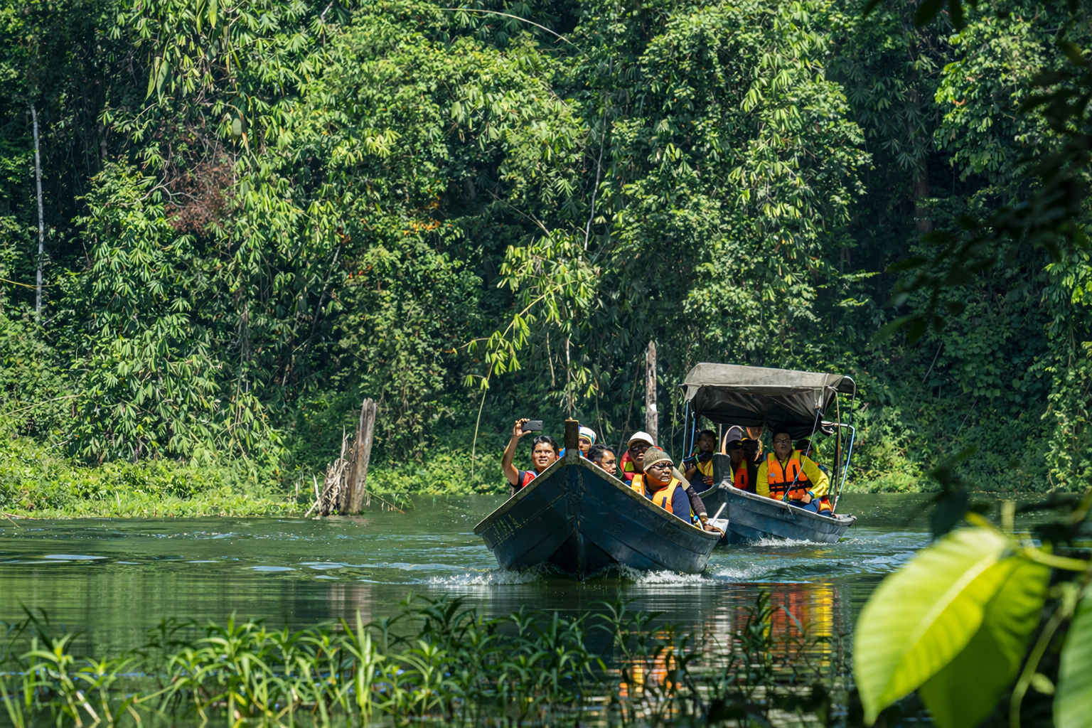 Belum-Temengor: Hutan Hujan Tertua di Asia Tenggara