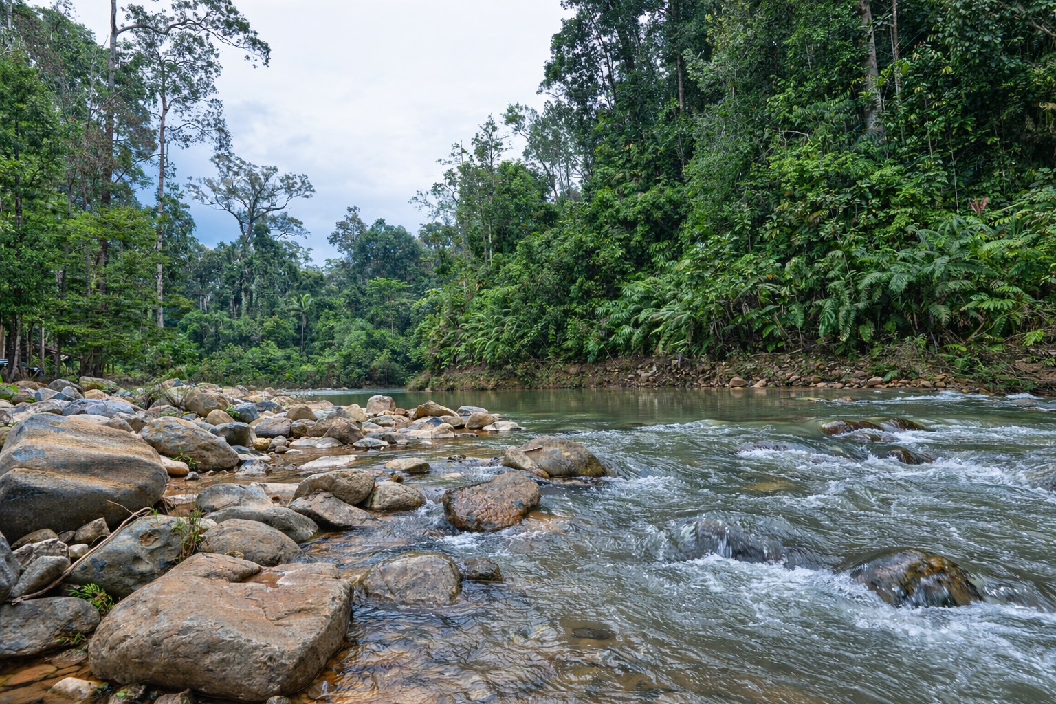 Taman Negara Endau-Rompin
