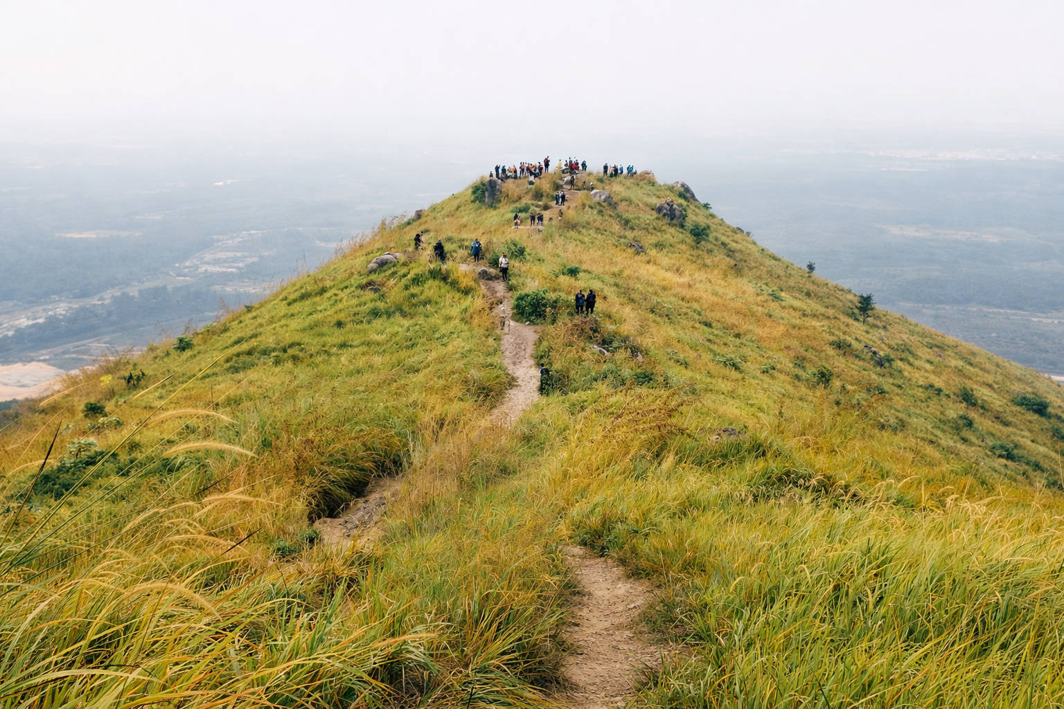 Broga Hill