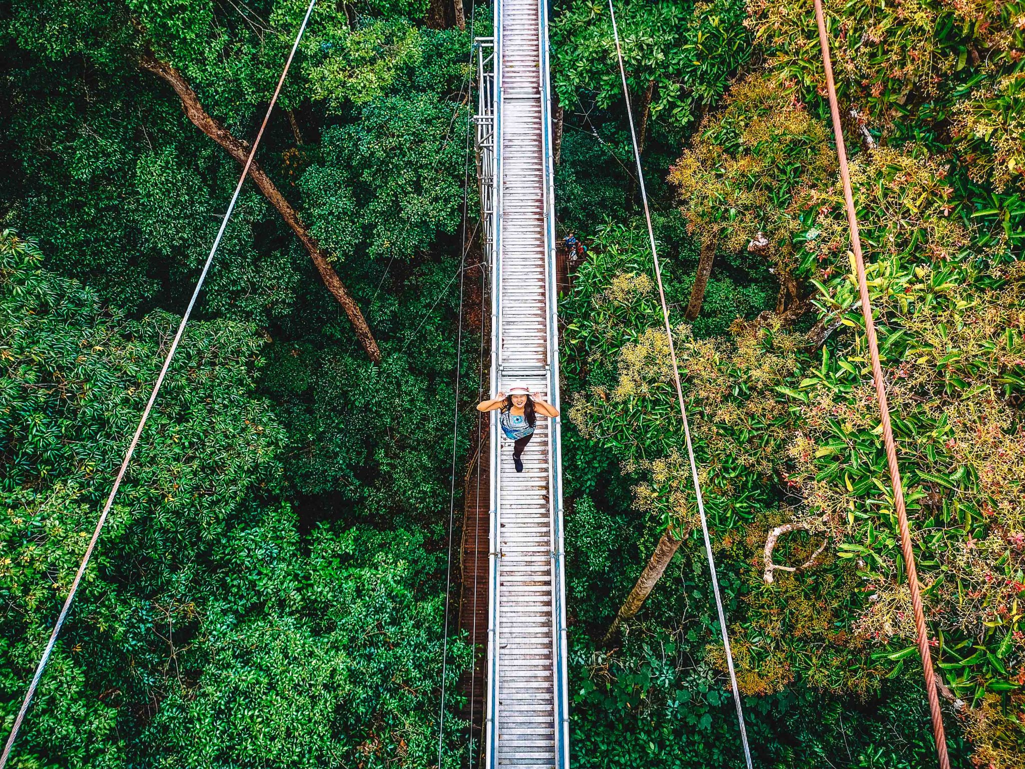 Ulu Temburong National Park Hutan Hujan Asli Brunei