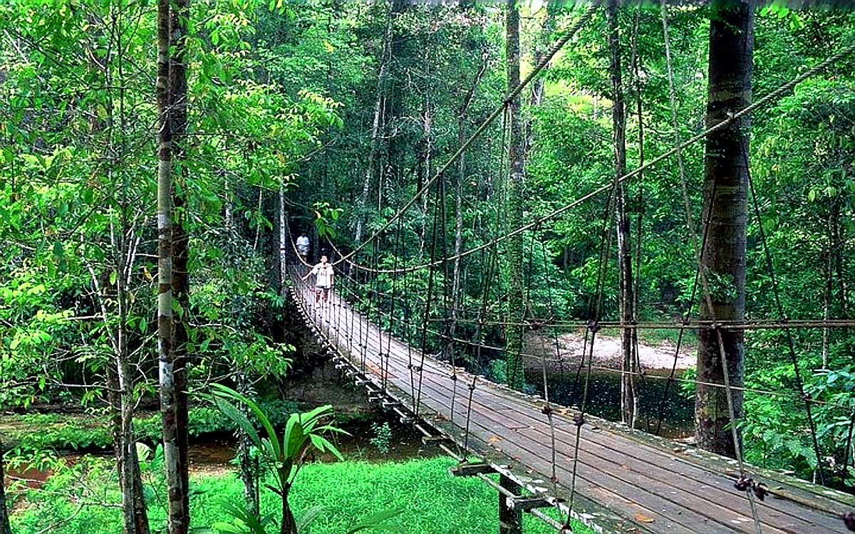 Lambir Hills National Park