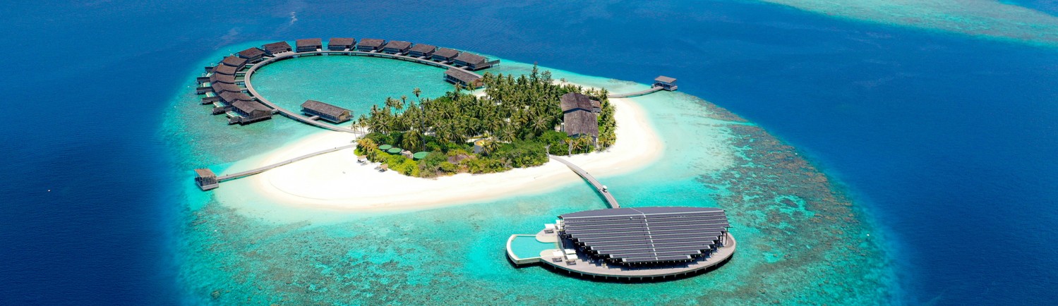 Banana Reef – Surga Bawah Laut Maldives yang Memikat