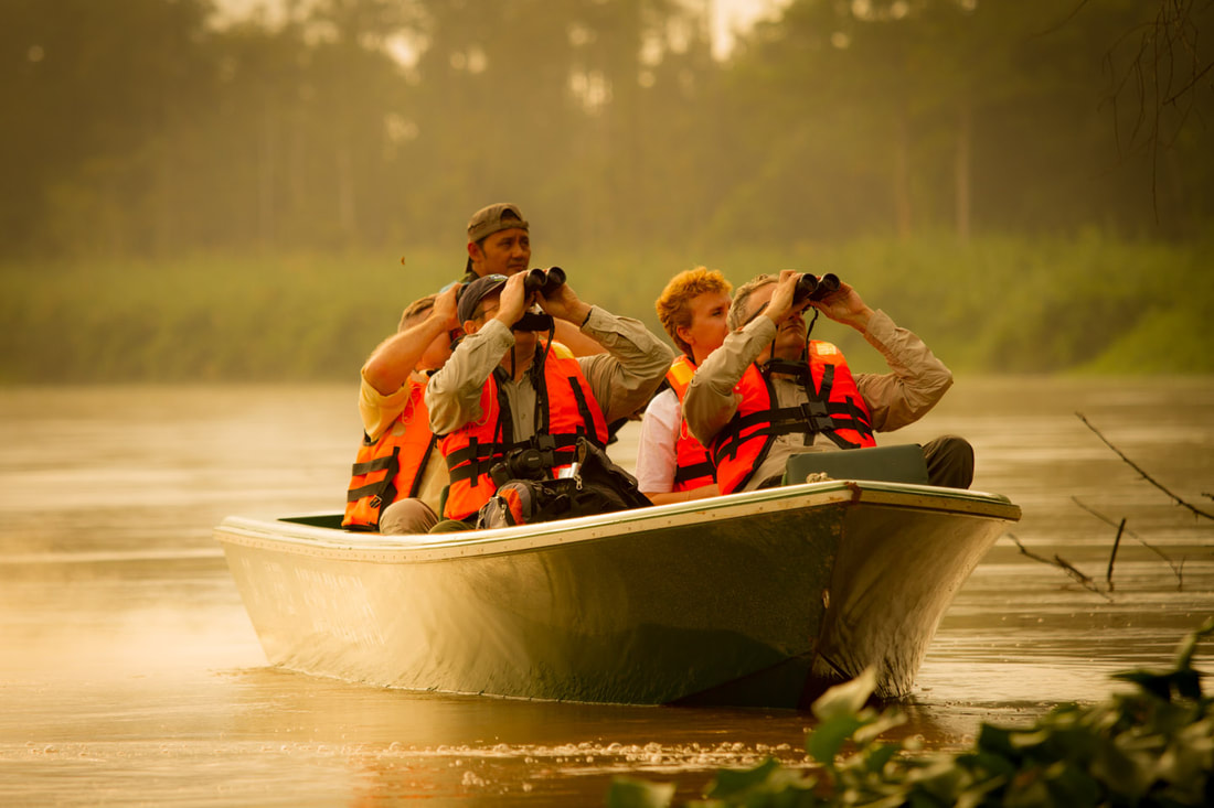 Kinabatangan River Sungai Terbaik Melihat Satwa Borneo Kinabatangan River Sungai Terbaik Melihat Satwa Borneo