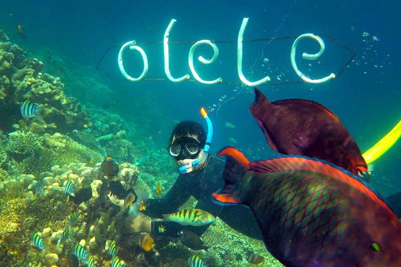 Taman Laut Olele: Surga Bawah Laut Eksotis di Gorontalo yang Memikat Penyelam