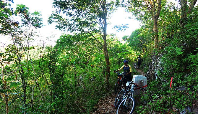 Bukit Hijau Asri: Destinasi Tenang di Tengah Alam Bukit Hijau Asri: Destinasi Tenang di Tengah Alam
