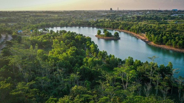 Hutan Tropis Lestari: Surga Hijau yang Tersisa Hutan Tropis Lestari: Surga Hijau yang Tersisa