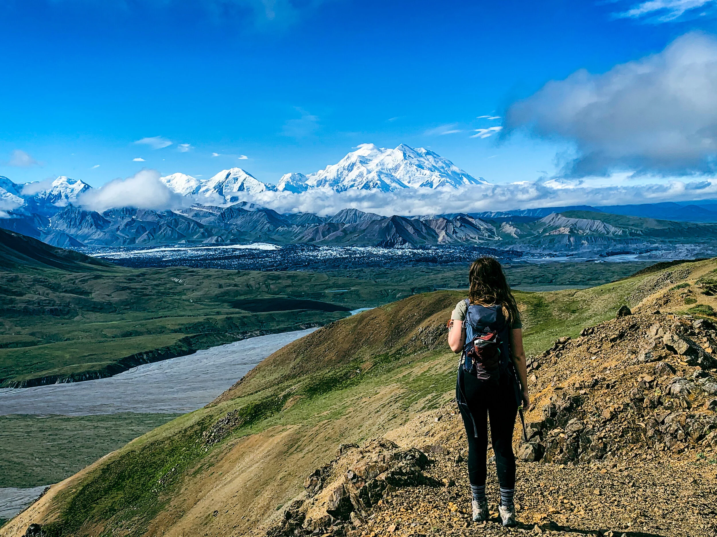 Denali National Park: Panduan Wisata Taman Nasional Terbesar Alaska