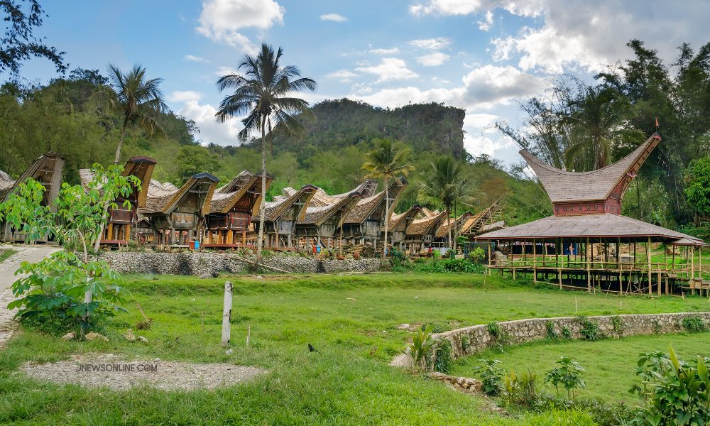 Desa Kete Kesu: Jejak Budaya Toraja yang Tak Lekang Waktu