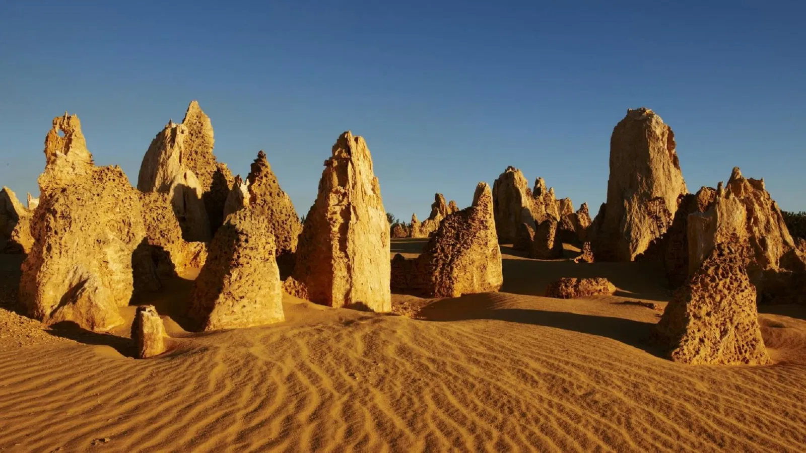 The Pinnacles Desert Australia: Panduan Wisata Tiang Batu Ikonik