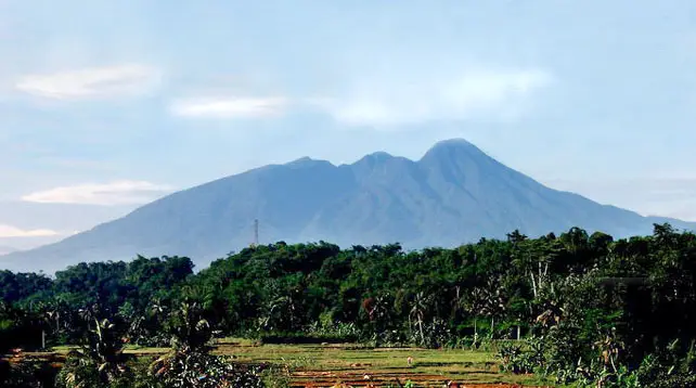 Gunung Halimun Jadi Destinasi Alam Favorit