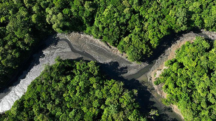 Hutan Amazon Lebat, Destinasi Alam Liar yang Menyimpan Keajaiban dan Misteri Terbesar di Dunia