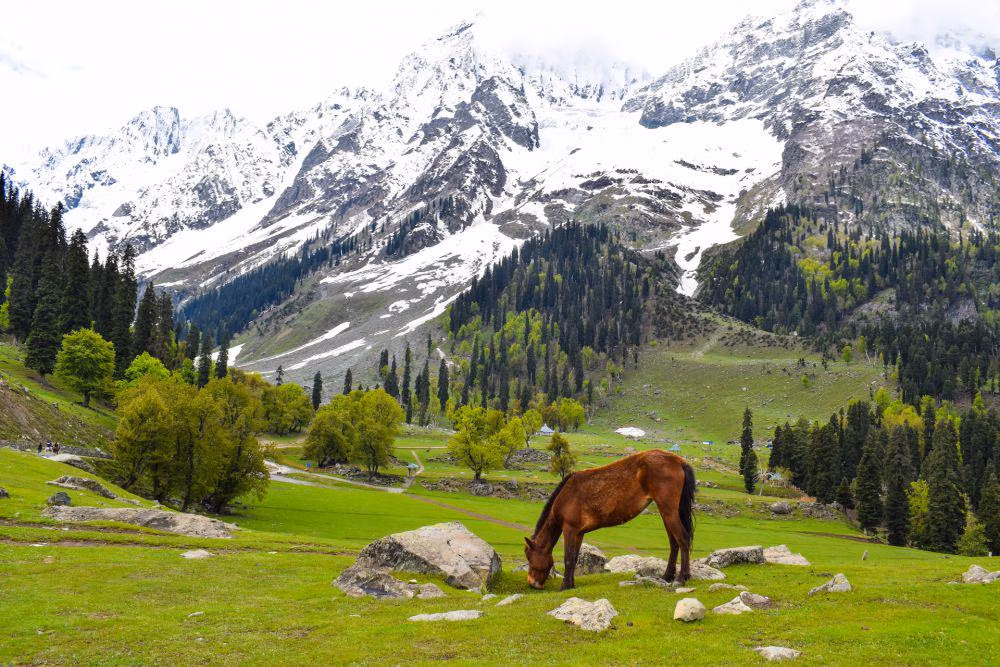 Lembah Kashmir