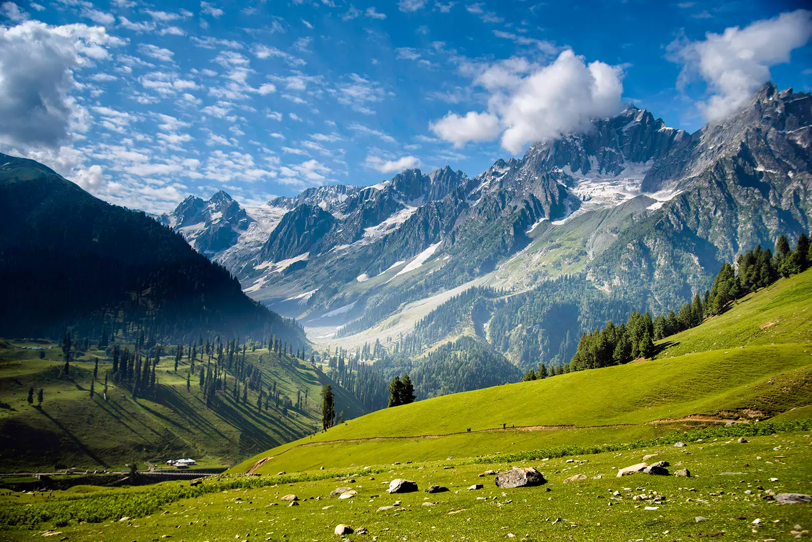 Taman Nasional Dachigam