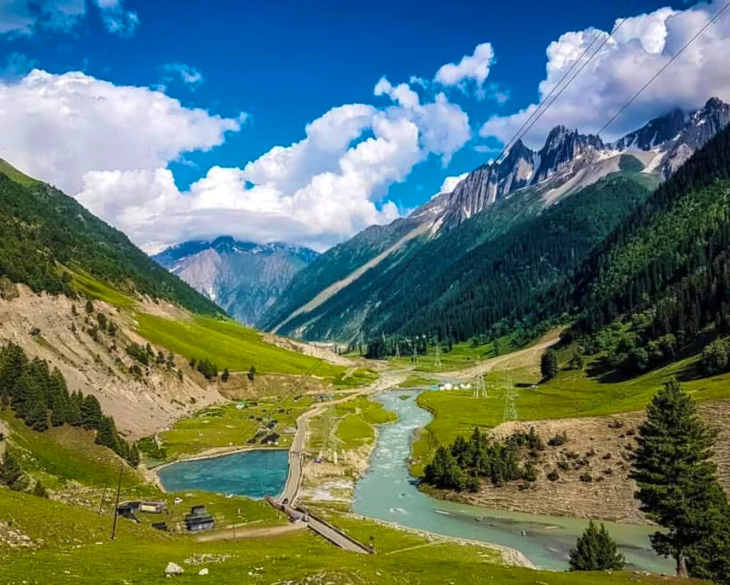 Taman Nasional Dachigam: Menjelajahi Surga Satwa Liar di Pegunungan Kashmir