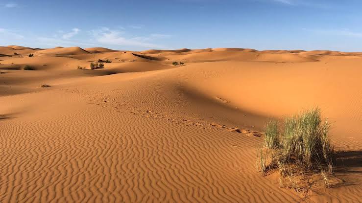 Gurun Sahara Luas, Keajaiban Alam yang Memukau Dunia Gurun Sahara Luas, Keajaiban Alam yang Memukau Dunia
