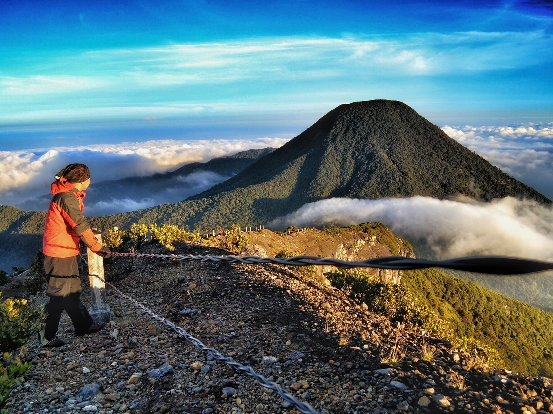 Gunung Pangrango: Pesona Alam dan Jalur Pendakian Favorit Indonesia