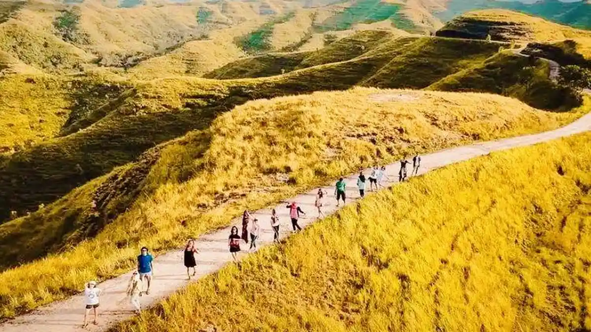 Savanna Tanarara