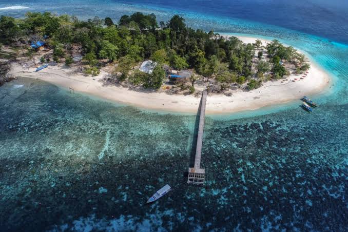 Towade Lehaga, Pesona Bahari Tersembunyi di Nusa Tenggara Timur Towade Lehaga, Pesona Bahari Tersembunyi di Nusa Tenggara Timur